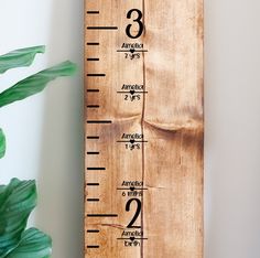 a wooden ruler sitting on top of a table next to a plant