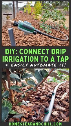 a garden hose connected to a tree with text overlay that reads diy connect drip irrigation to a tap easily automate it