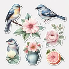 the birds are sitting on the flowers and fruit sticker sheet, which is decorated with watercolors