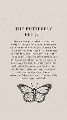 the butterfly effect is shown in black and white, with an image of a butterfly on it