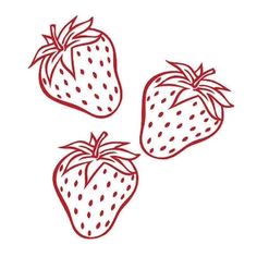 three strawberries on a white background with red trimmings and the outline is drawn by hand