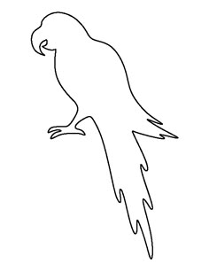 a black and white drawing of a parrot