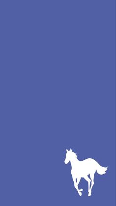 a white horse running across a blue background