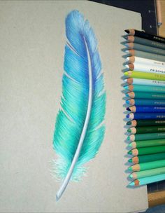 colored pencils next to a drawing of a blue feather