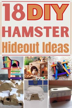 If you're considering adopting a hamster as a pet, it's essential that you learn how to keep it happy and healthy. One crucial aspect is creating a safe and comfortable environment for your pet to rest and play. Here are some simple DIY hamster hideout ideas for creating a cozy shelter to make your pet feel loved and secure. Diy Hamster Hideout, Diy Hamster Stuff, Diy Hamster Food, Hideout Ideas, Diy Hamster House, Maze Ideas, Diy Aquarium Stand, Hamster Maze