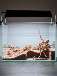 an aquarium filled with rocks and water