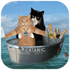 two cats are sitting in a boat on the water and one cat is holding an ornament