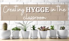 the words creating hygge in the classroom surrounded by potted plants