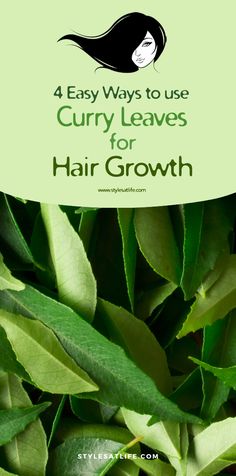 Curry Leaves for hair growth Curry Leaves For Hair Growth, Benefits Of Curry, Make Hair Grow Faster, Amla Hair Oil, Promote Hair Growth, Lustrous Hair, Simple Health, Grow Hair Faster