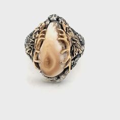 Elk Ivory Tooth Trophy Antler Ring – Park City Jewelers Grad Rings, Elk Ivory Ring, Elk Ivory, Tooth Ring, Ivory Ring, Antler Ring, Elk Antlers, Braided Ring, Contemporary Ring