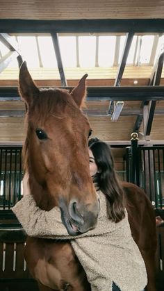 a brown horse standing next to a woman