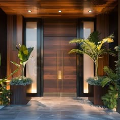 the entrance to a modern house with plants in pots