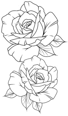 two roses with leaves on each side