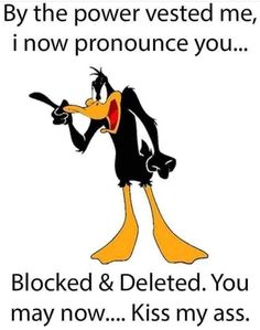 a cartoon duck with an angry look on it's face and the words, by the power vested me, i now pronounce you blocked & deleted