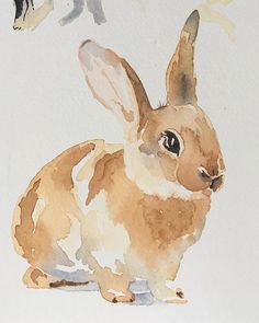 a watercolor painting of a rabbit and a bird