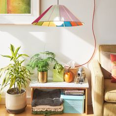 a living room filled with lots of plants next to a couch and lamp hanging from the ceiling