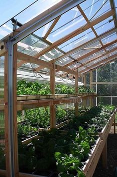 a greenhouse filled with lots of green plants