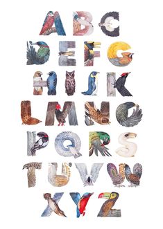 the letters and numbers are made up of different types of birds, including one bird