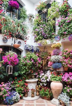 many potted plants and flowers in front of a building