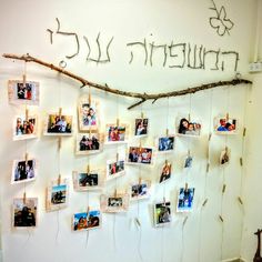 a group of photos hanging on a wall next to a tree branch with the word friends written on it