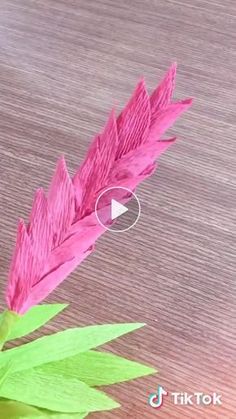 a pink flower with green leaves on top of a wooden table next to a video player