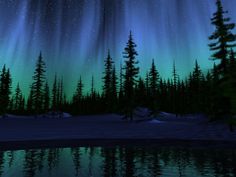 the aurora bore is shining brightly in the sky above trees and snow on a snowy surface