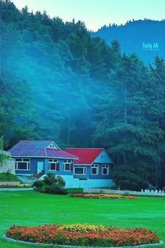 a blue house in the middle of a lush green field with trees and mountains in the background