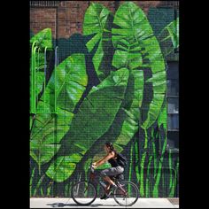 a man riding a bike past a green mural