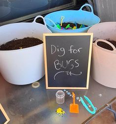 there is a sign that says dig for bugs next to some buckets with dirt in them