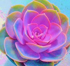 a large pink flower with green leaves on it's head and petals in the center