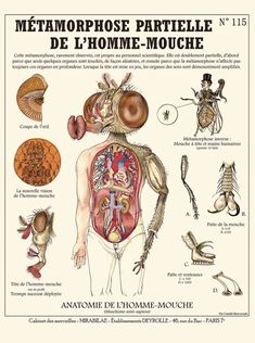 a diagram of the human body and some other things to see in this book,