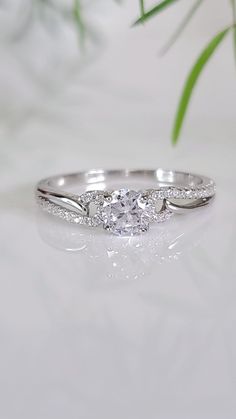 a white gold engagement ring with three diamonds on the side and a green plant in the background