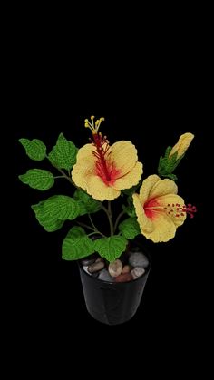 a yellow and red flower sitting on top of a black pot filled with rocks next to a green leafy plant