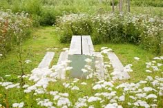 an empty picnic table surrounded by wildflowers and grasses in a field with white flowers