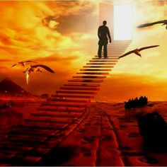 a man standing at the top of a stair leading to an open door with seagulls flying around