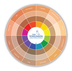 Eyeshadow Color Wheel, Color Wheel For Makeup Artist, Makeup Color Theory, Colour Theory Skin Tone, Color Wheel For Makeup, Color Wheel Makeup, Color Theory Skin Tone, Skin Tone Chart