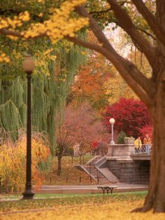 the park is full of trees, benches and fall colors in the background with yellow leaves on the ground