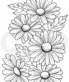 some daisies with leaves in the middle and one flower on the bottom, black and white