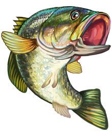 a drawing of a fish with its mouth open