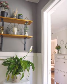 two shelves with plants on top of them in front of a white dresser and mirror