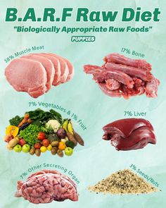 an info poster showing the different types of raw meats and what they look like