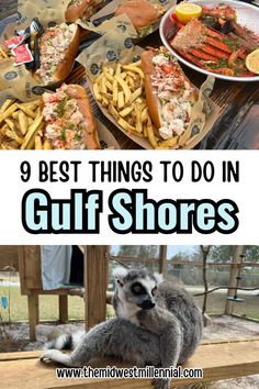 the best things to do in gulf shores, including lobsters and other seafood dishes