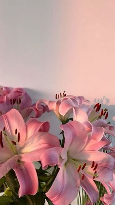 pink lilies are in a vase on a white tablecloth, next to a wall