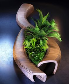 a plant is growing out of a curved wooden bench that sits on a black surface