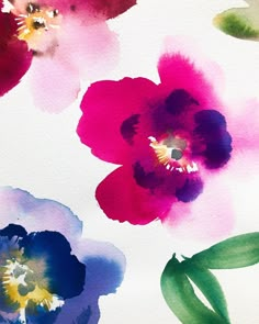 watercolor flowers painted on white paper with green and purple leaves in the middle,