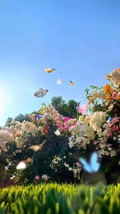 butterflies flying over flowers and trees on a sunny day