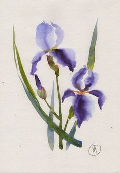 watercolor painting of two purple flowers on white paper with green stems in the foreground