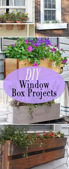 several different window boxes with flowers in them and the words diy window box projects