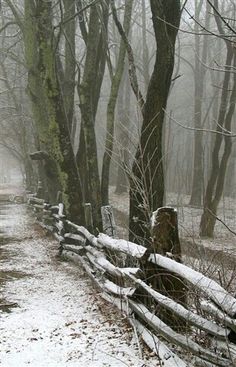 a snow covered path in the woods next to a wooden fence with trees on both sides