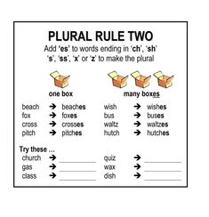 a poster with words and pictures on it that say, plural rules two